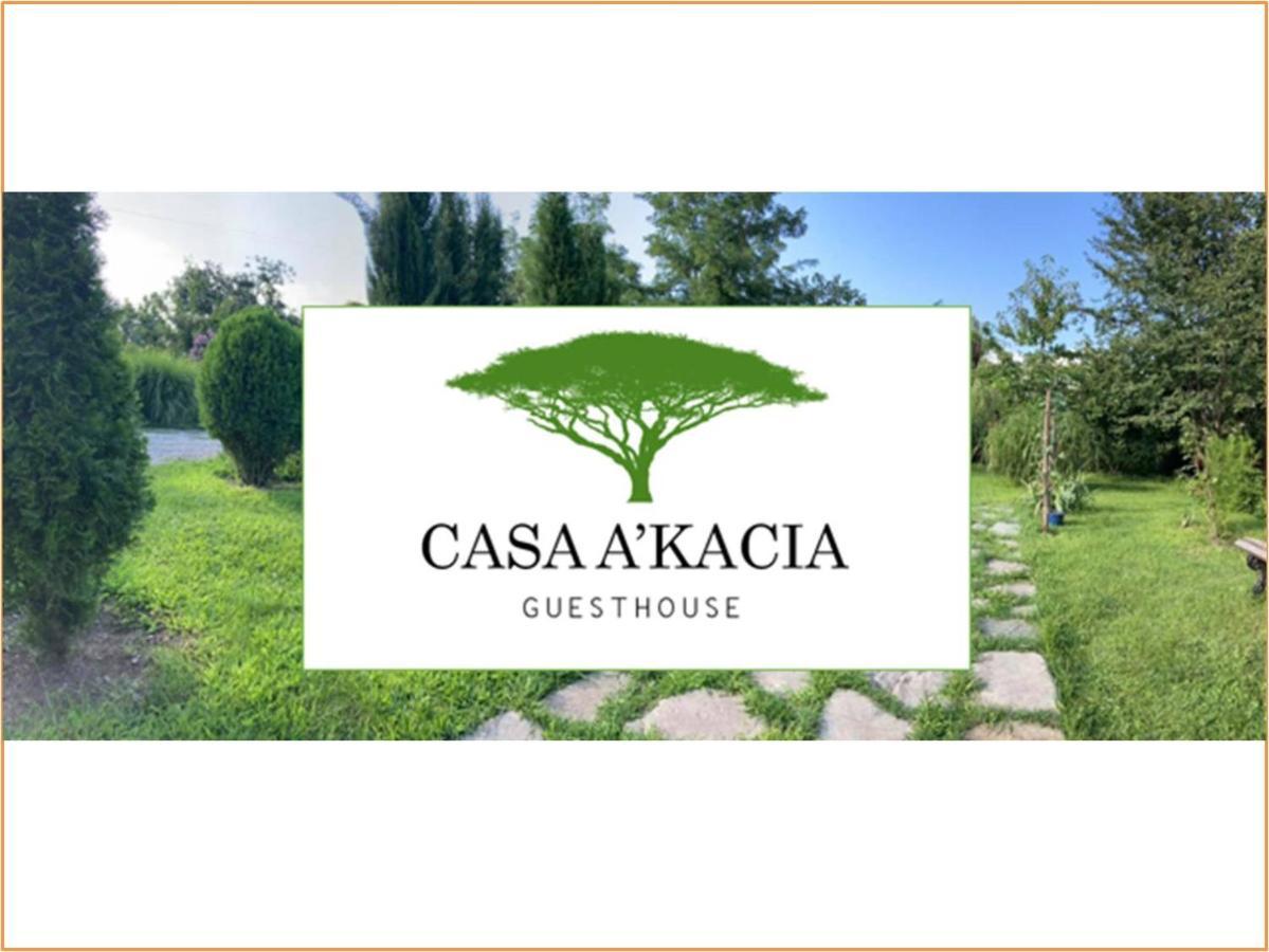 Casa Akacia Hotel Telavi Ngoại thất bức ảnh